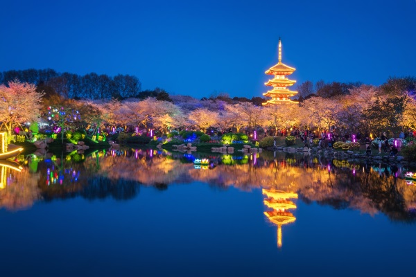 公园植物景观照明