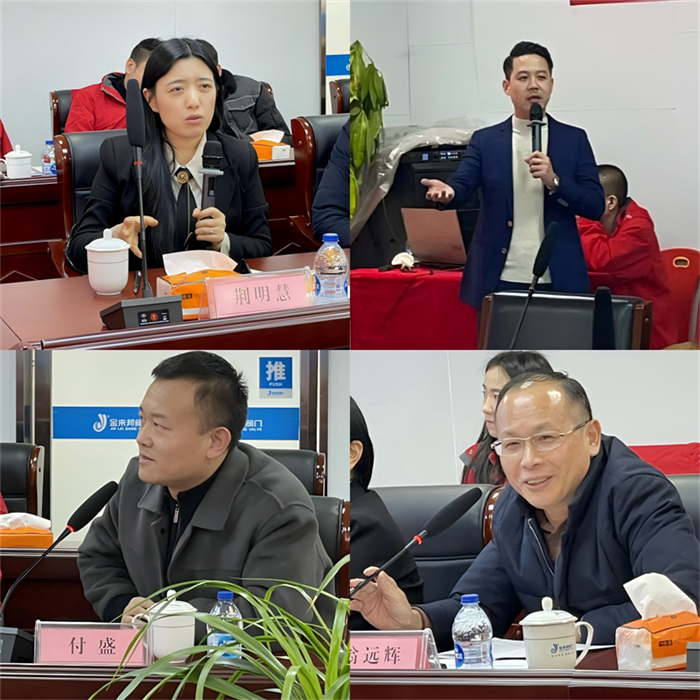 明亮照明集团总经理荆明慧进行点评
