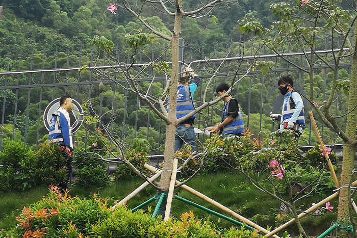 明亮照明集团香港亮化项目施工现场