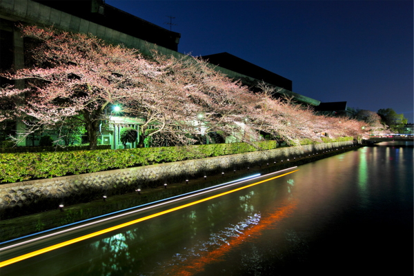 河道夜景亮化